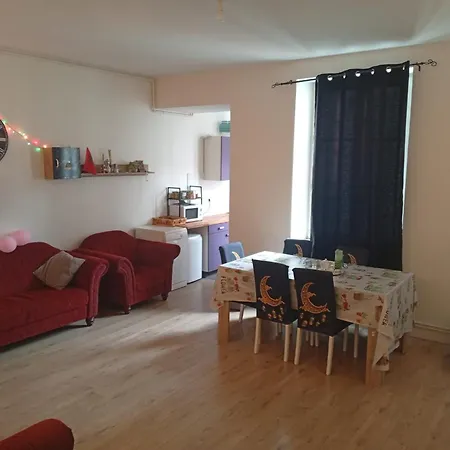 4 Rue Merciere Saint-etienne Apartment *